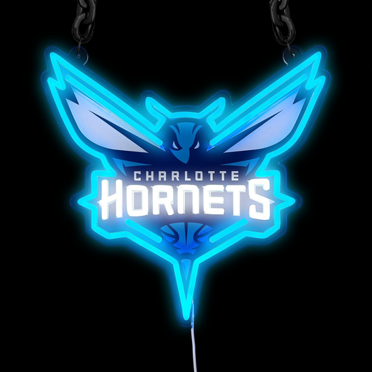 NBA Charlotte Hornets Signs Neon Necklace LED Acrylic Decorative Light Room Bedroom