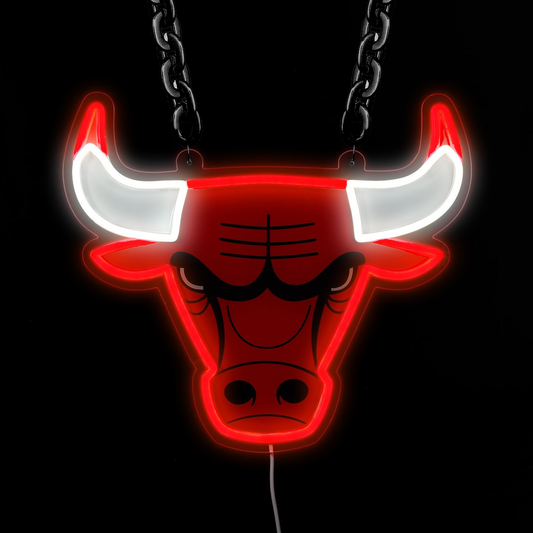 NBA Chicago Bulls Signs Neon Necklace LED Acrylic Decorative Light Room Bedroom