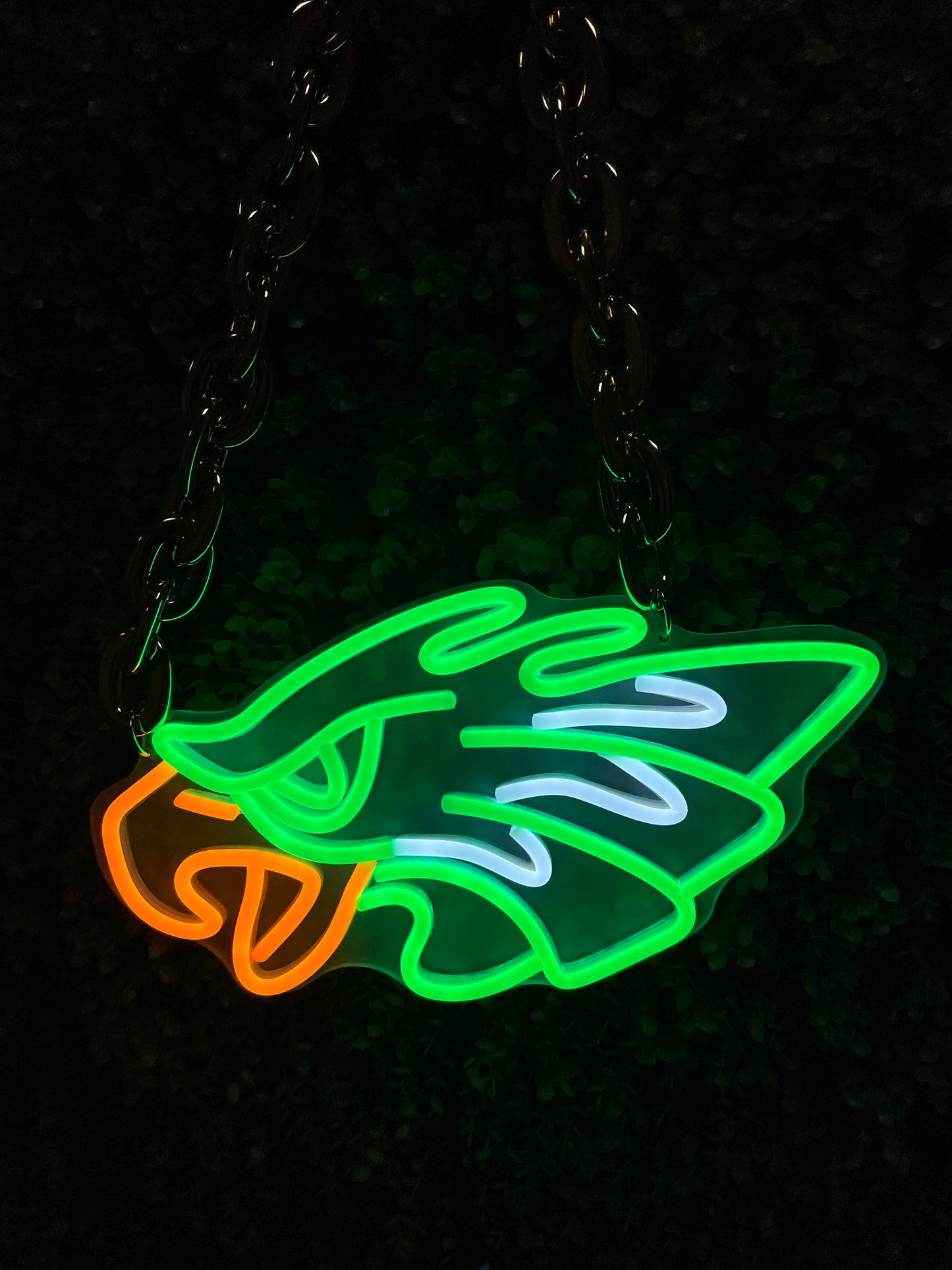 Philadelphia Eagles Neon Sign Necklace | Indoor/Outdoor Display for Fans